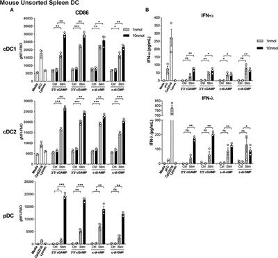 Discordance in STING-Induced Activation and Cell Death Between Mouse and Human Dendritic Cell Populations